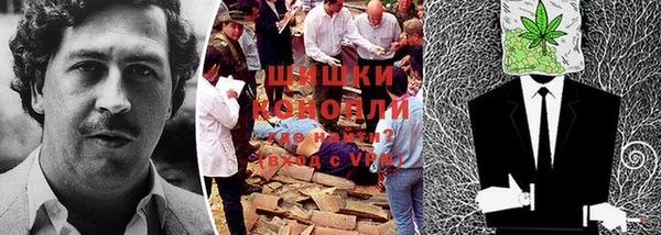 гидропоника Балахна